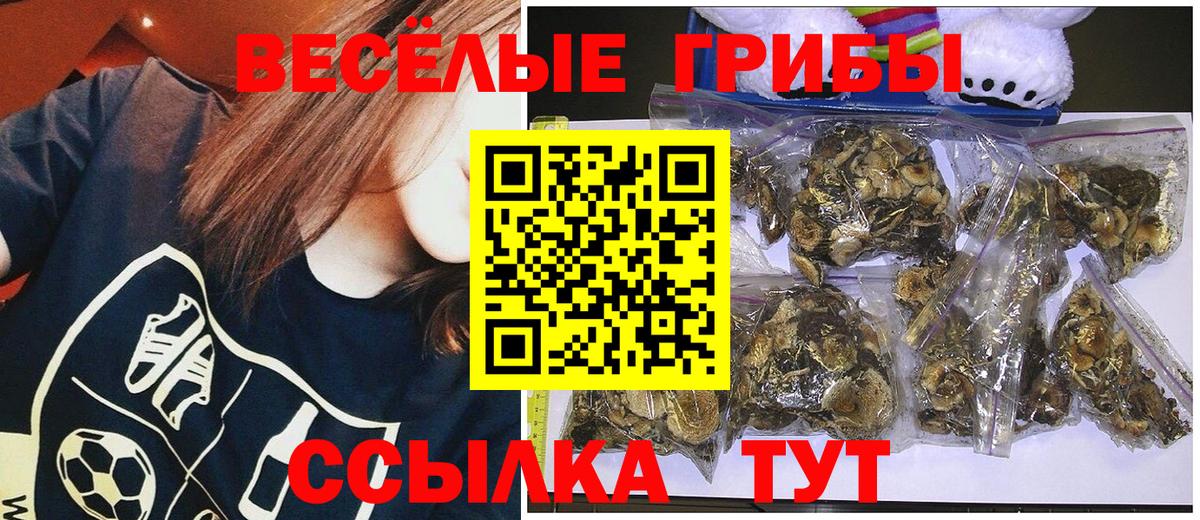 Псилоцибиновые грибы Magic Shrooms  Псилоцибиновые грибы мицелий  Партизанск  Вход с VPN 