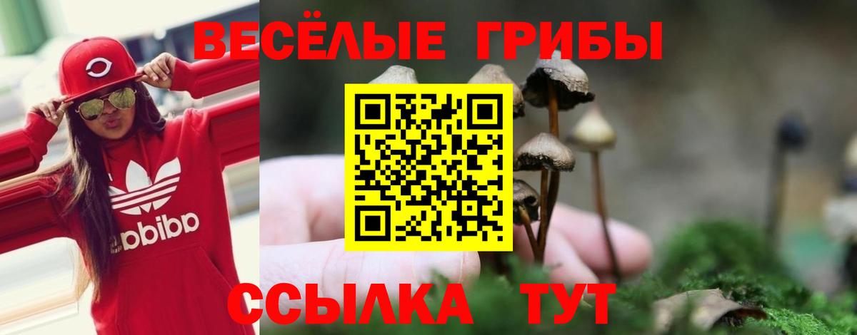 Галлюциногенные грибы прущие грибы Партизанск
